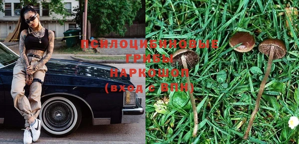 ALPHA PVP Верея
