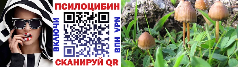 Псилоцибиновые грибы мухоморы  darknet официальный сайт  Севастополь 